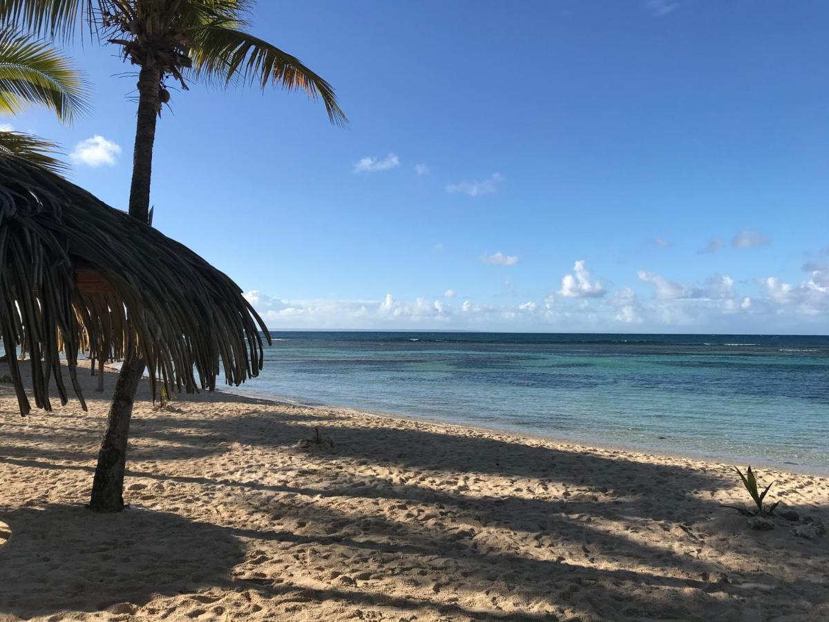 Brin D'Ile Anse Des Rochers Vue Mer A 50 M De La Plage Et Piscine Saint-Francois  Exteriér fotografie