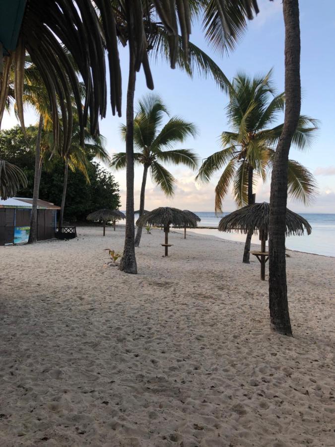 Brin D'Ile Anse Des Rochers Vue Mer A 50 M De La Plage Et Piscine Saint-Francois  Exteriér fotografie