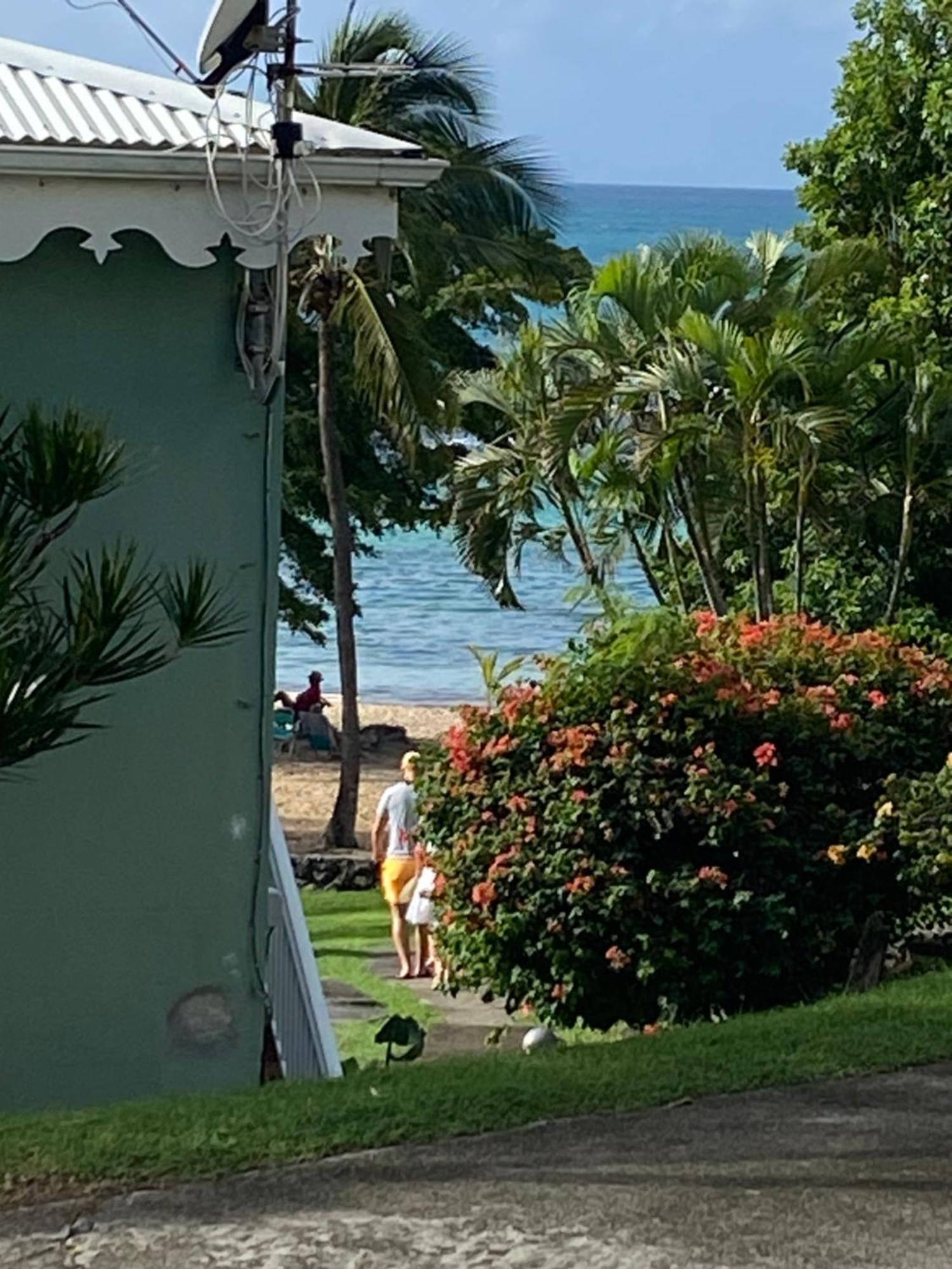 Brin D'Ile Anse Des Rochers Vue Mer A 50 M De La Plage Et Piscine Saint-Francois  Exteriér fotografie