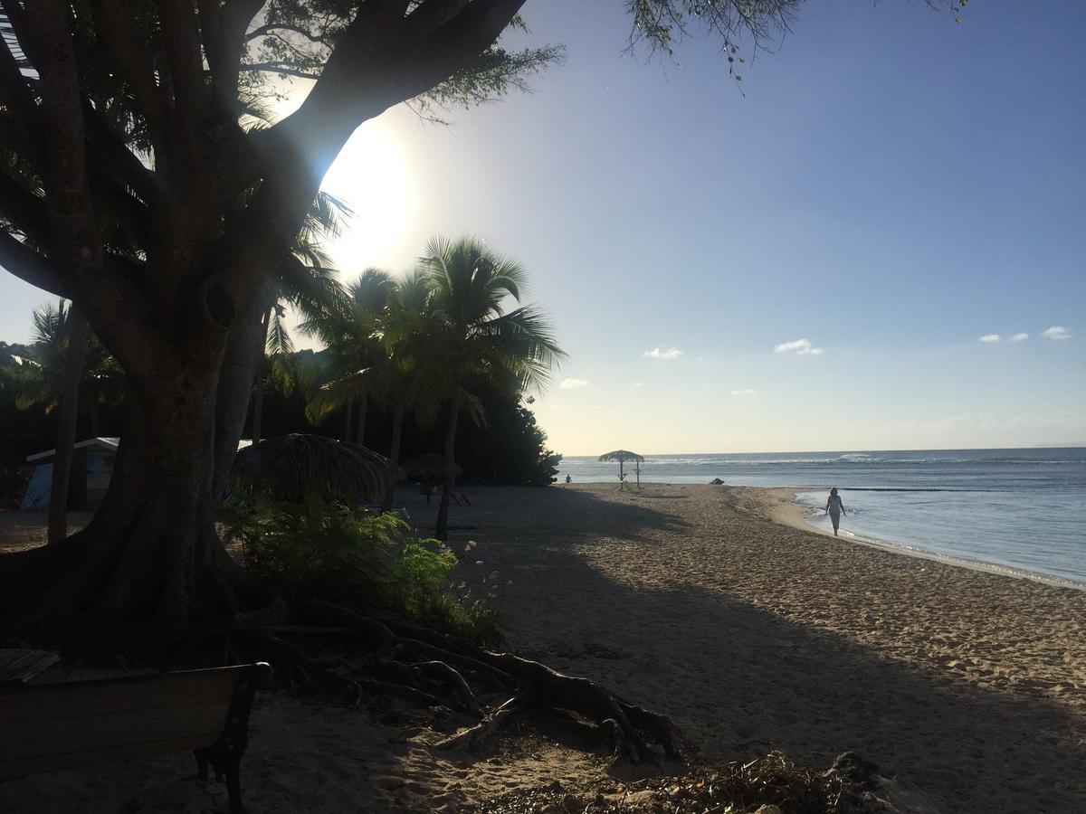 Brin D'Ile Anse Des Rochers Vue Mer A 50 M De La Plage Et Piscine Saint-Francois  Exteriér fotografie