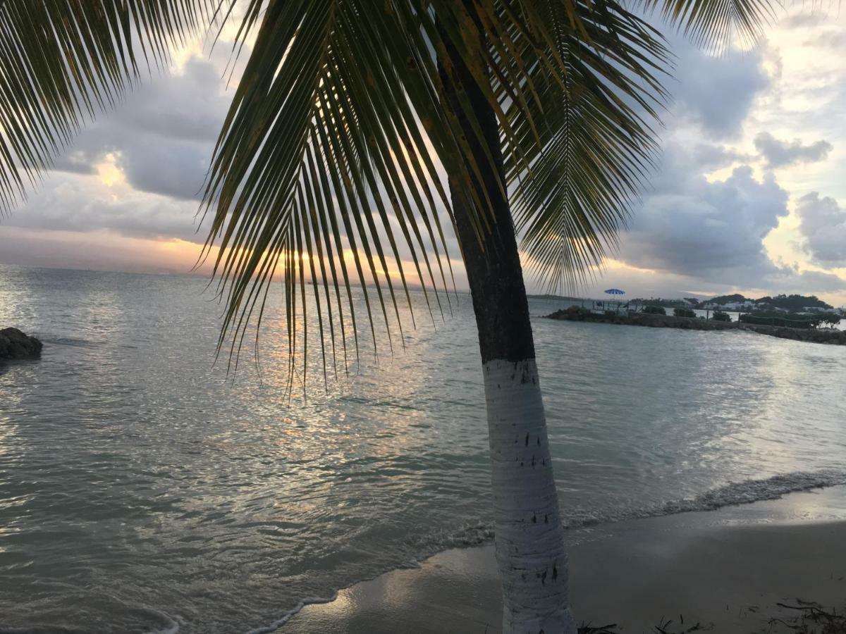 Brin D'Ile Anse Des Rochers Vue Mer A 50 M De La Plage Et Piscine Saint-Francois  Exteriér fotografie